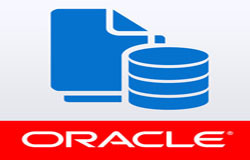 Oracle数据库管理工具有哪些?-北京开云官方在线入口公司