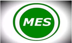 MES系统开发用什么开云官方在线入口？