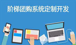 拼购电商系统APP软件定制开发、什么是拼购系统？-北京开云官方在线入口