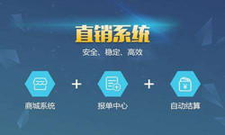 手机直销系统开云官方在线入口价格-北京软件外包公司