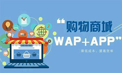 手机商城app开云官方在线入口流程-北京开云官方在线入口外包公司