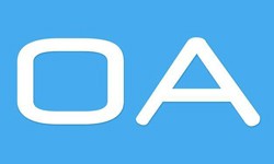 软件外包公司、OA系统开发功能有哪些？费用是多少-开云官方在线入口公司[北京开云官方在线入口]