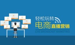 开云官方在线入口公司、做一个直播系统开云官方在线入口需要多少钱-北京软件外包公司