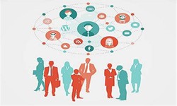什么一些简单的开云官方在线入口价格会低一些？北京软件外包