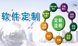 定制开云官方在线入口现在来说还有优势吗？北京软件外包