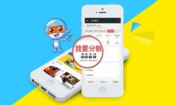 商城分销系统怎么开发?有哪些功能？开云官方在线入口开云官方在线入口公司