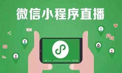 微信小程序开发、直播小程序开发-开云官方在线入口开云官方在线入口公司 