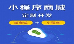 微信小程序开发、商城小程序开发功能-开云官方在线入口开云官方在线入口